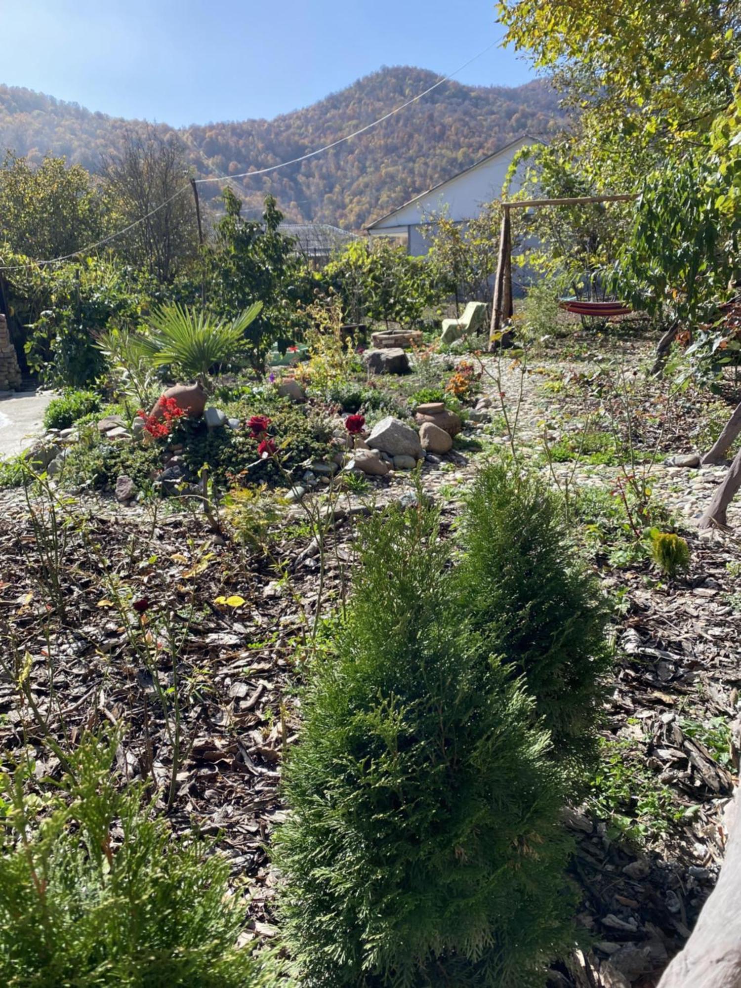 Green Park Guest House Dilijan Exterior photo